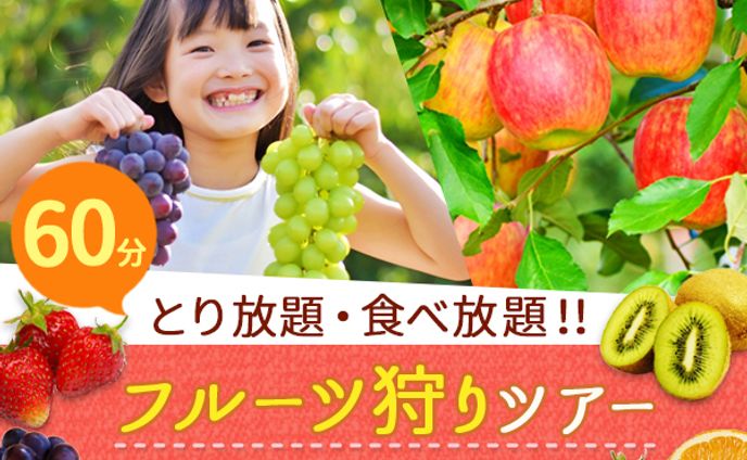 架空バナー　フルーツ狩りツアー