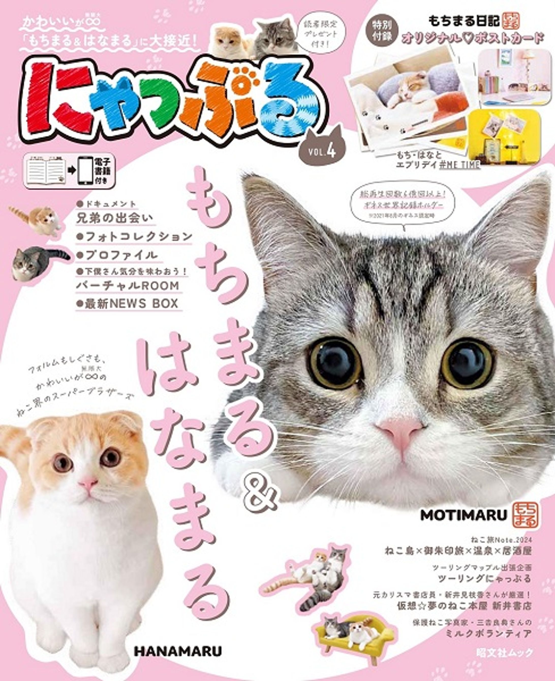 Magazine：Nyapple / にゃっぷる 4-1