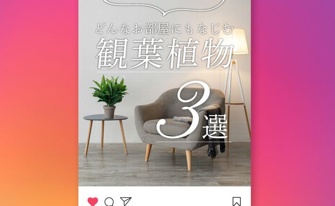 【架空 Instagram投稿用画像】すてき不動産