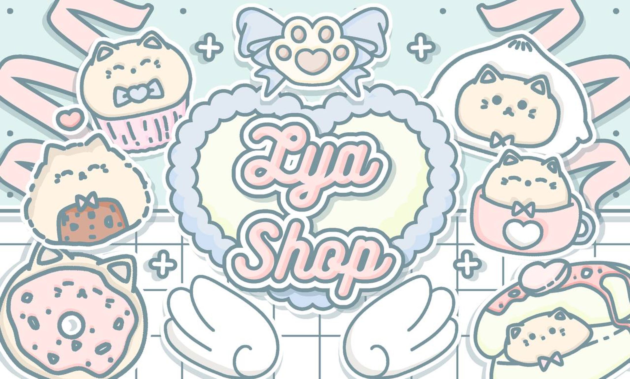 custom setup for lya store-1