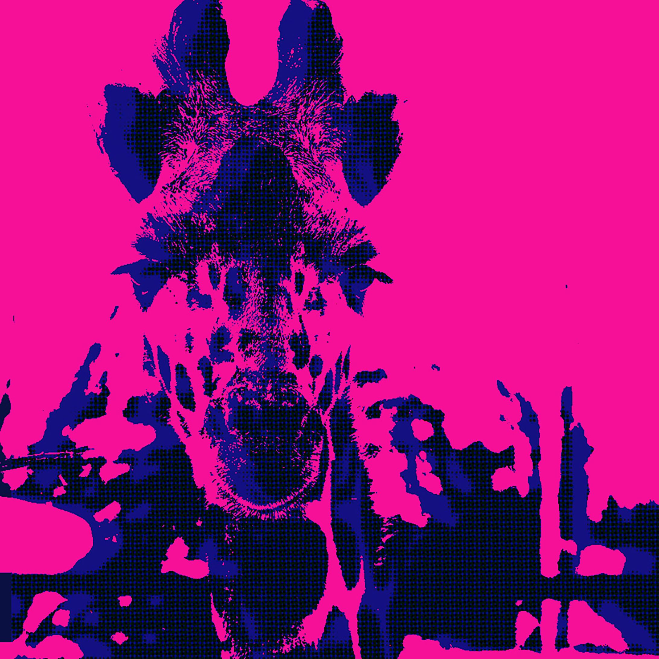 Giraffe pink-1