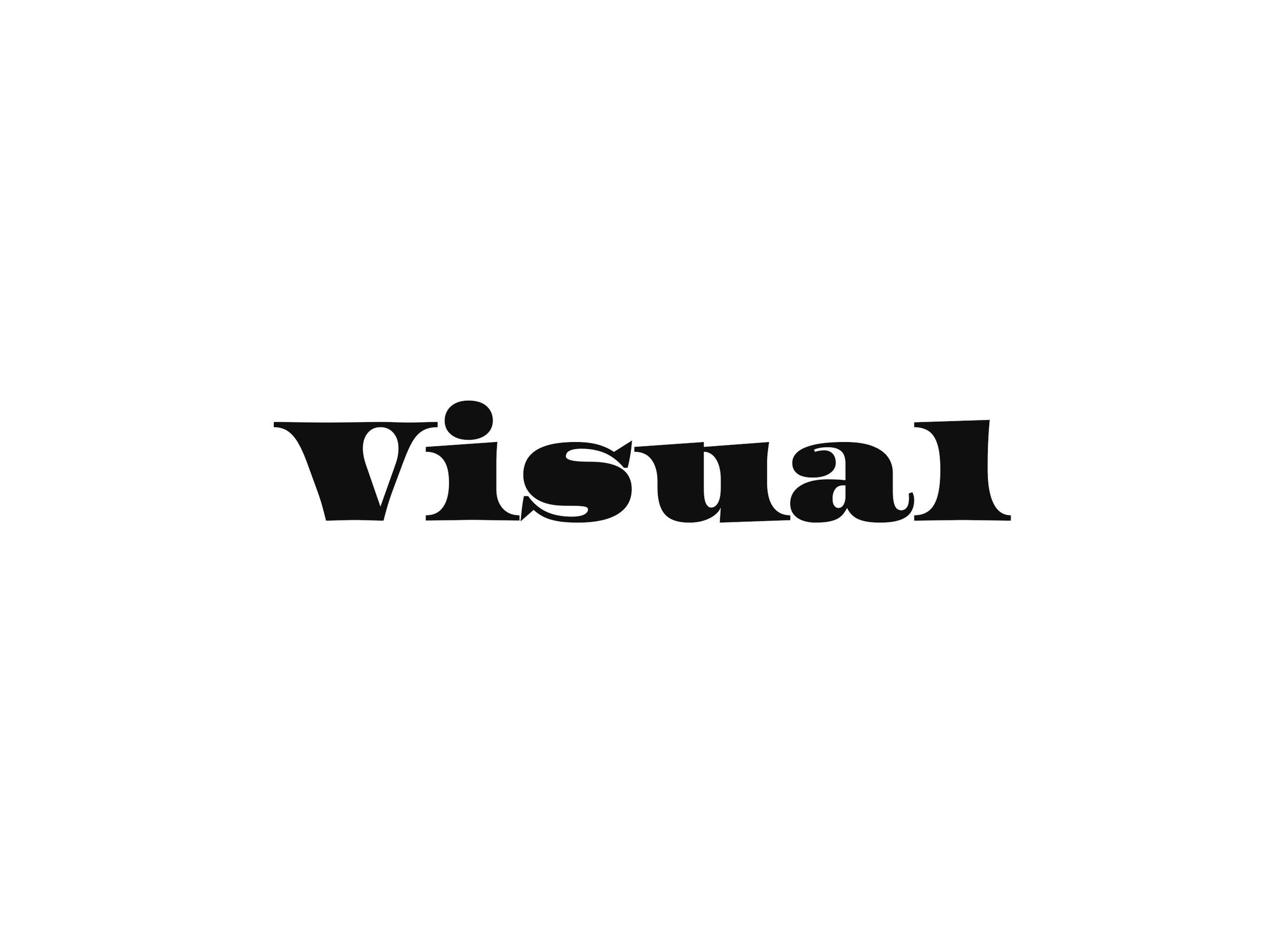 VISUAL-1