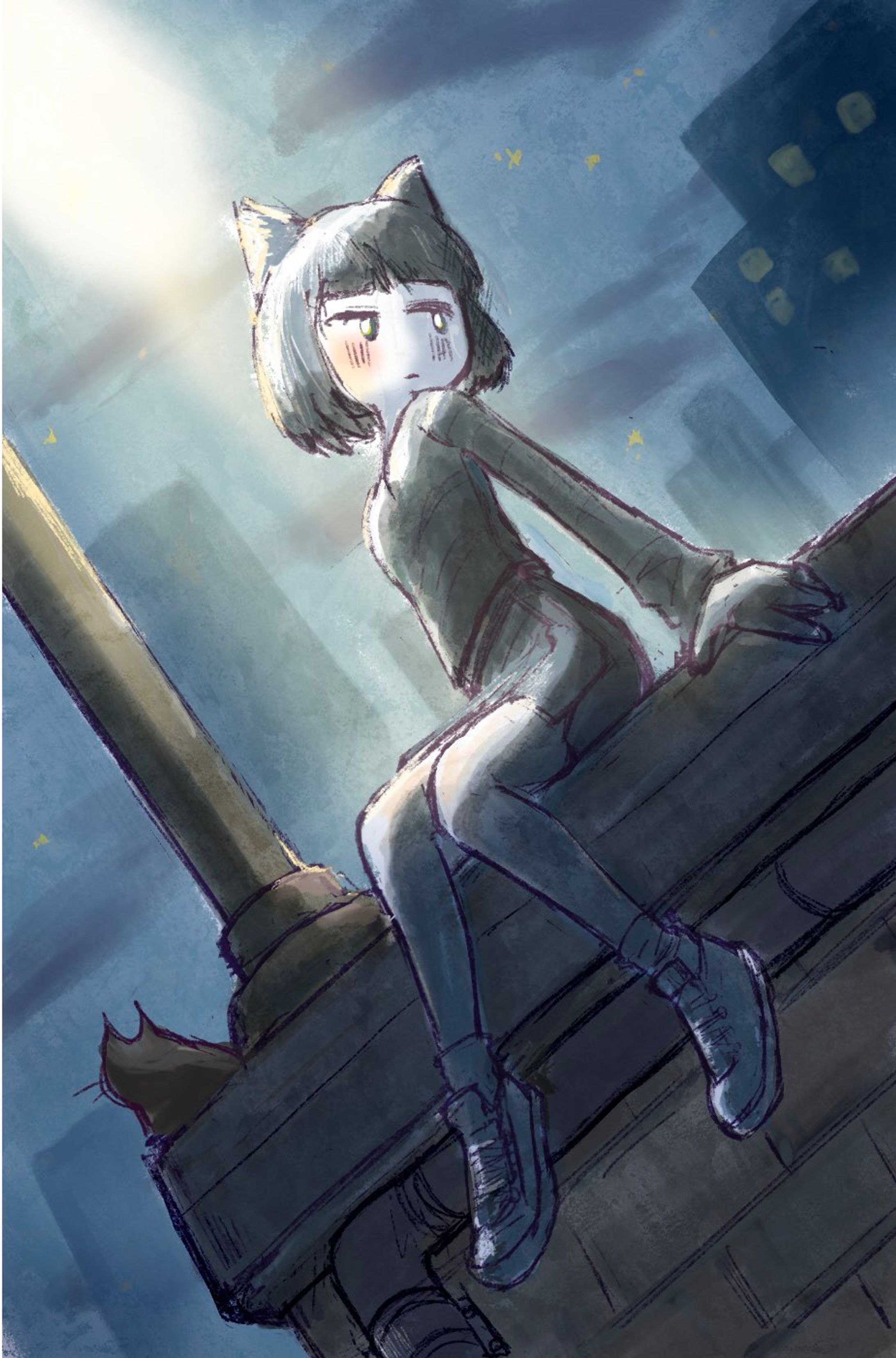 夜の集会（うちの子）-1