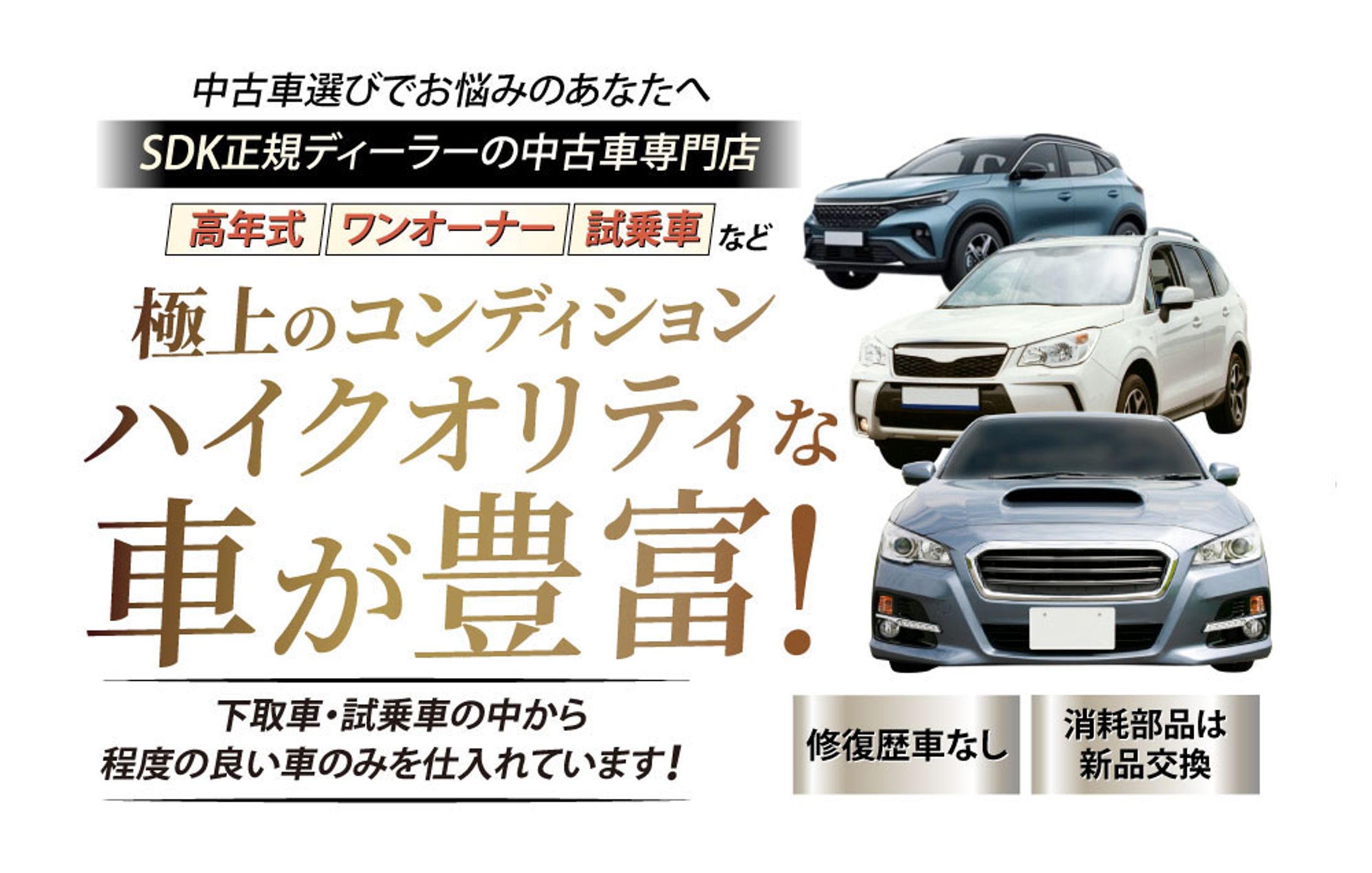 LP(中古車販売)-1