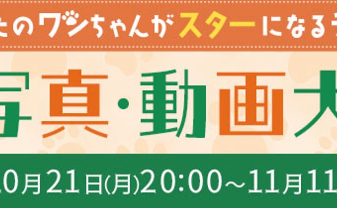 トークイベント、コンピ