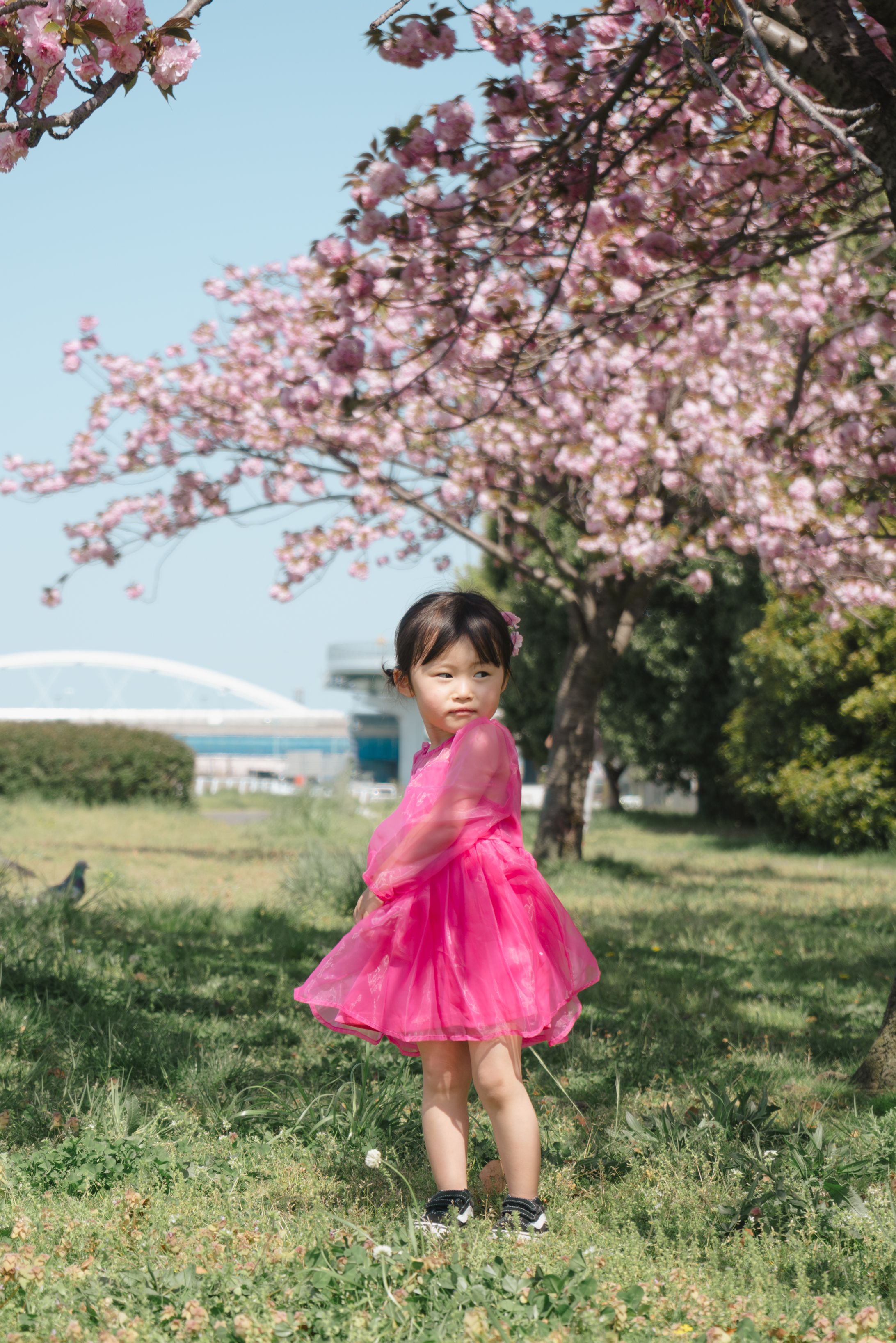３歳｜春のポートレート-1
