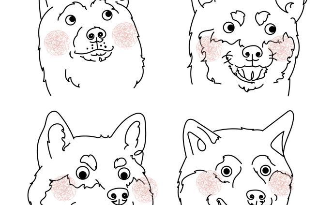 dog、pr案件