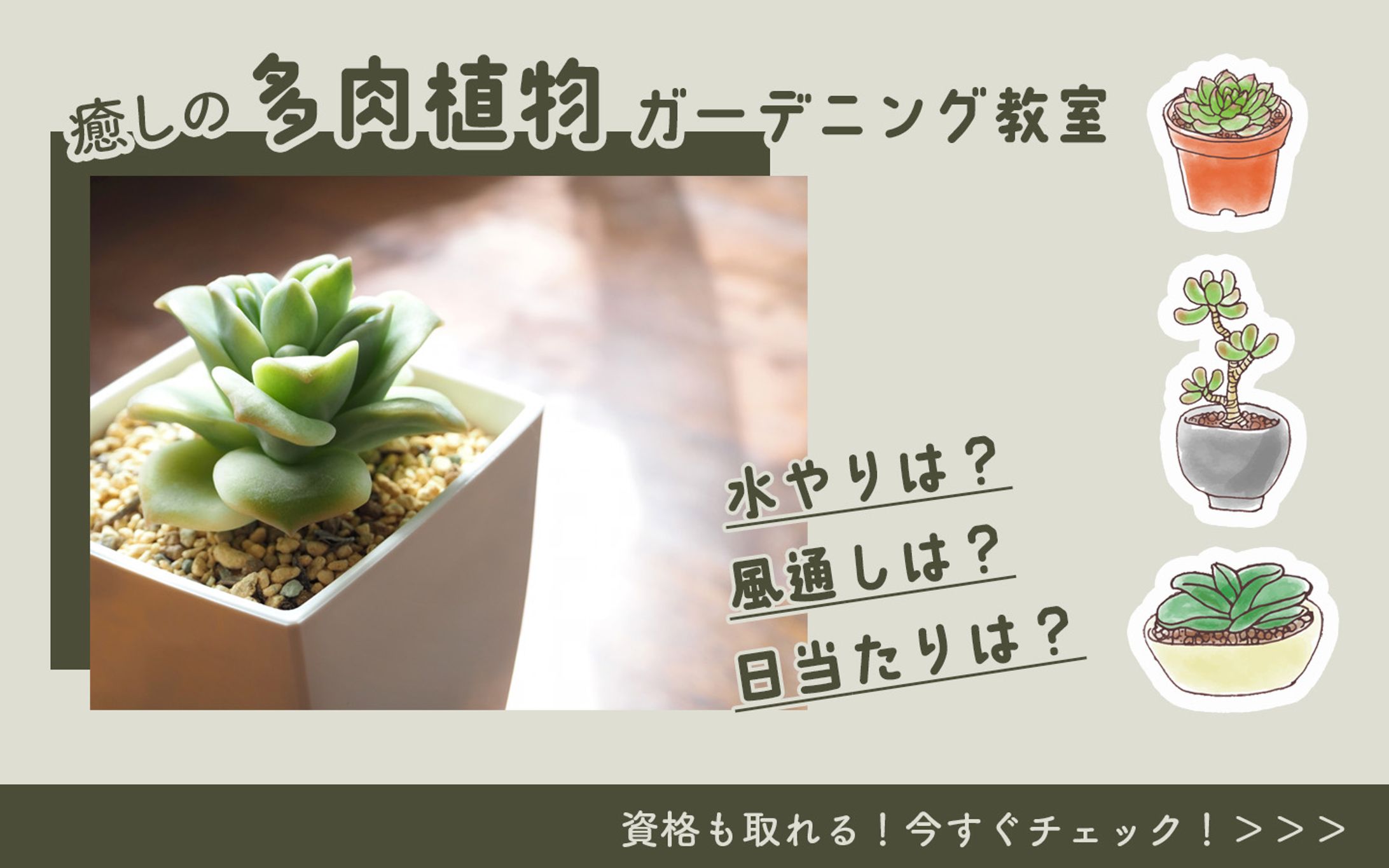 多肉植物教室のバナー-1