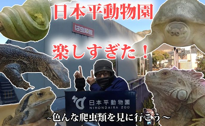 動物園紹介サムネ