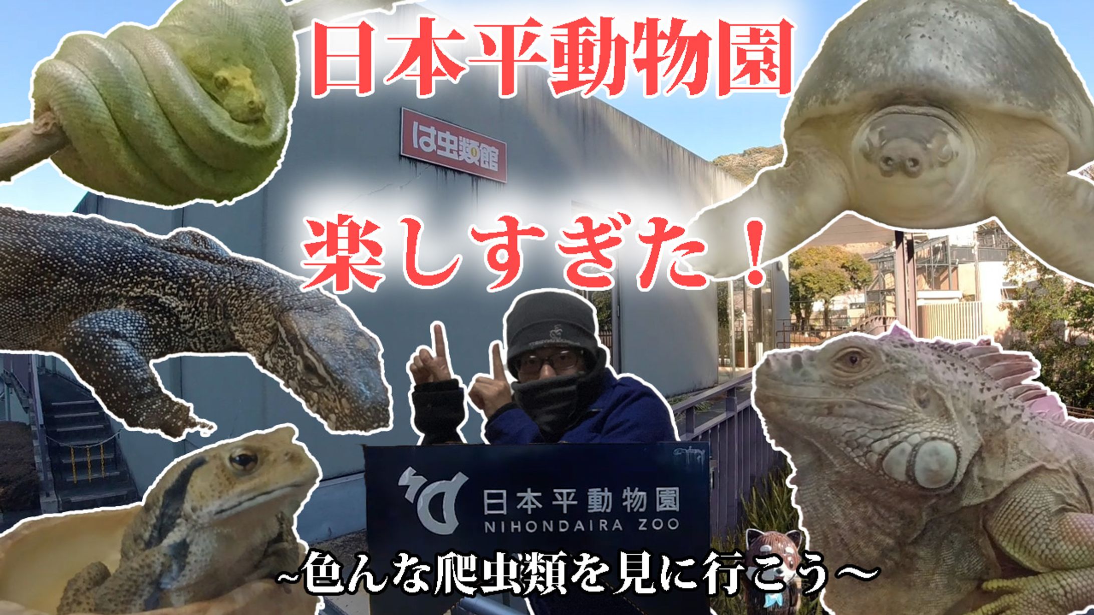 動物園紹介サムネ-1