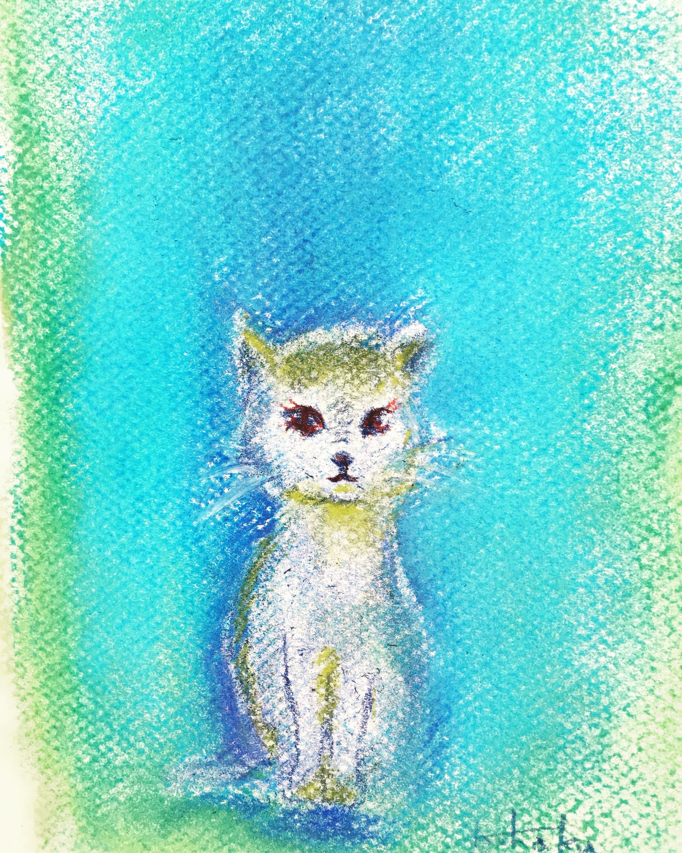 白い猫-1