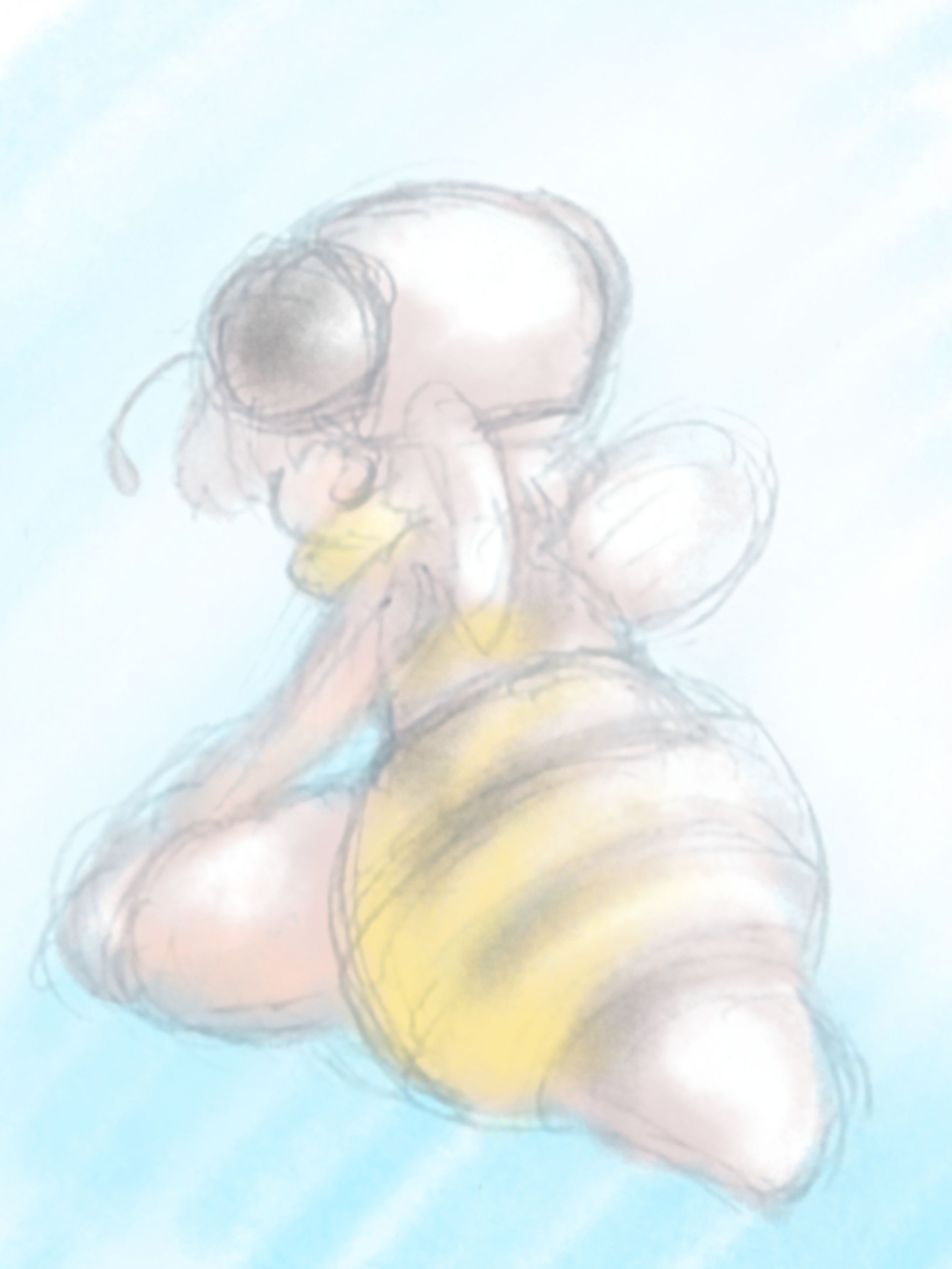 着包みさん-1
