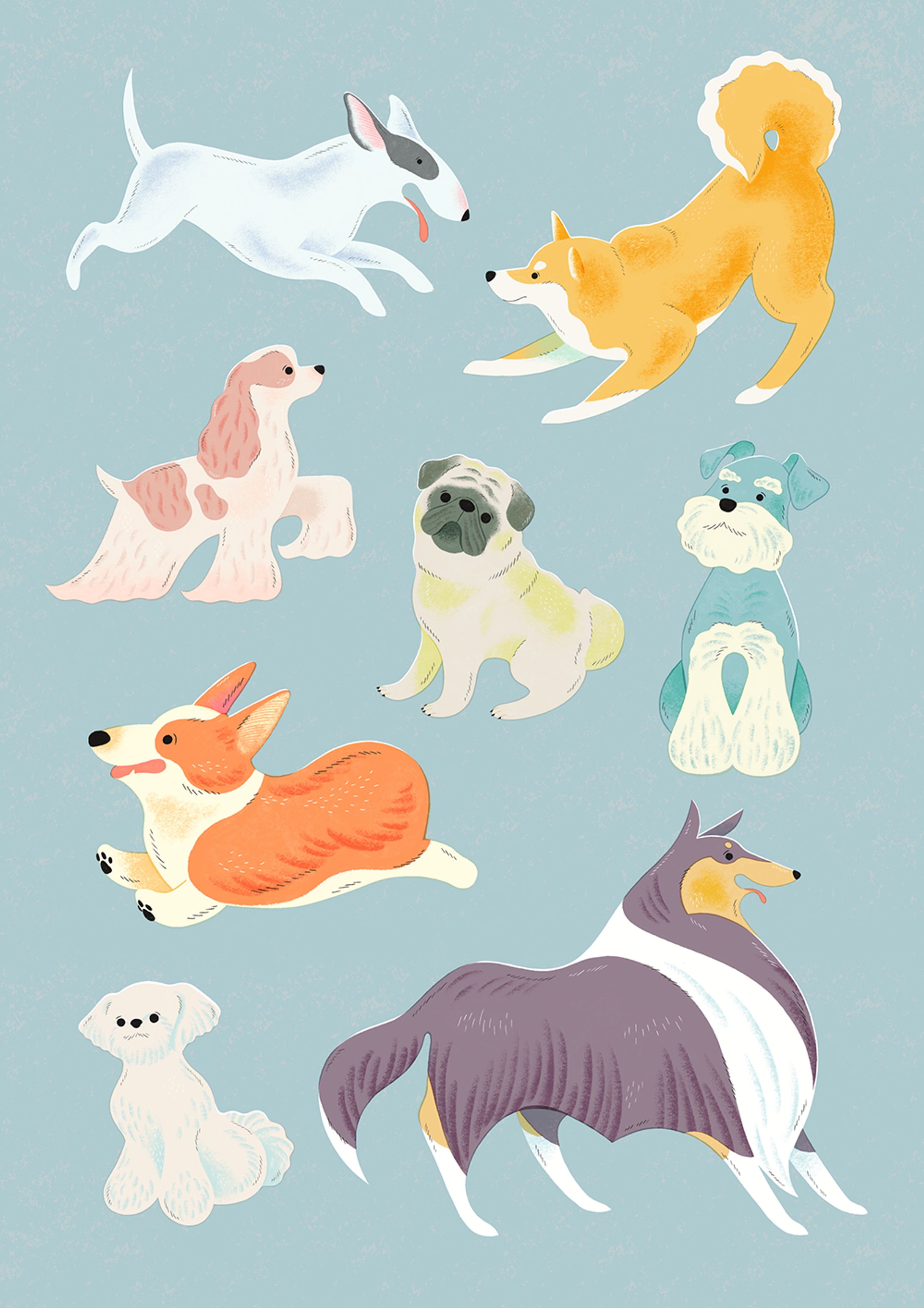 いぬのイラスト1-1