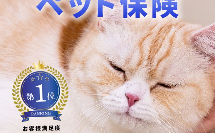 ペット保険