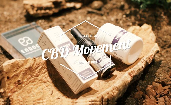 ENDOCA イベント紹介