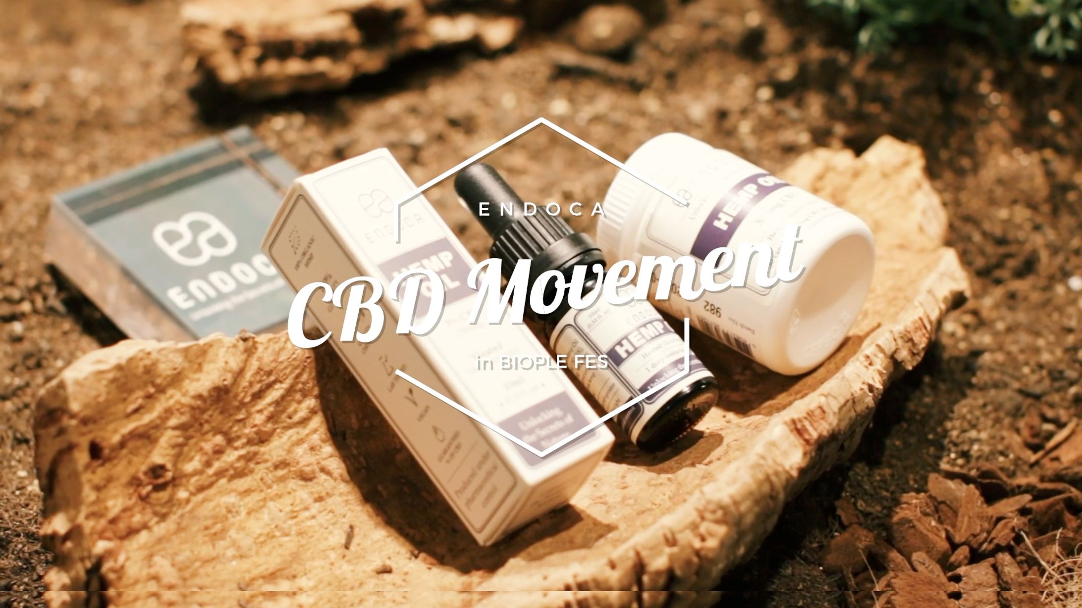 ENDOCA イベント紹介-1