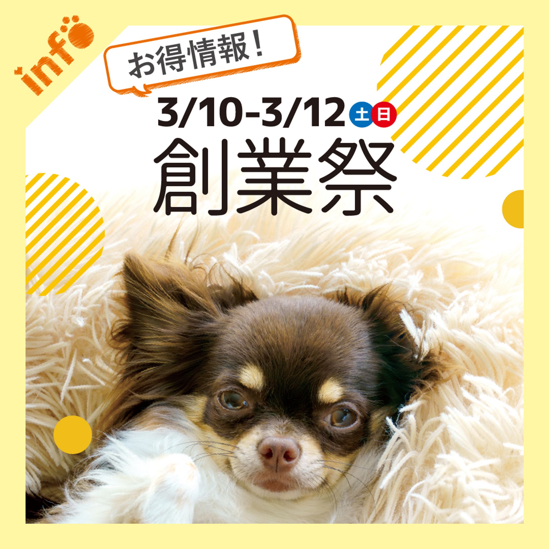 SNS投稿用の画像制作-1