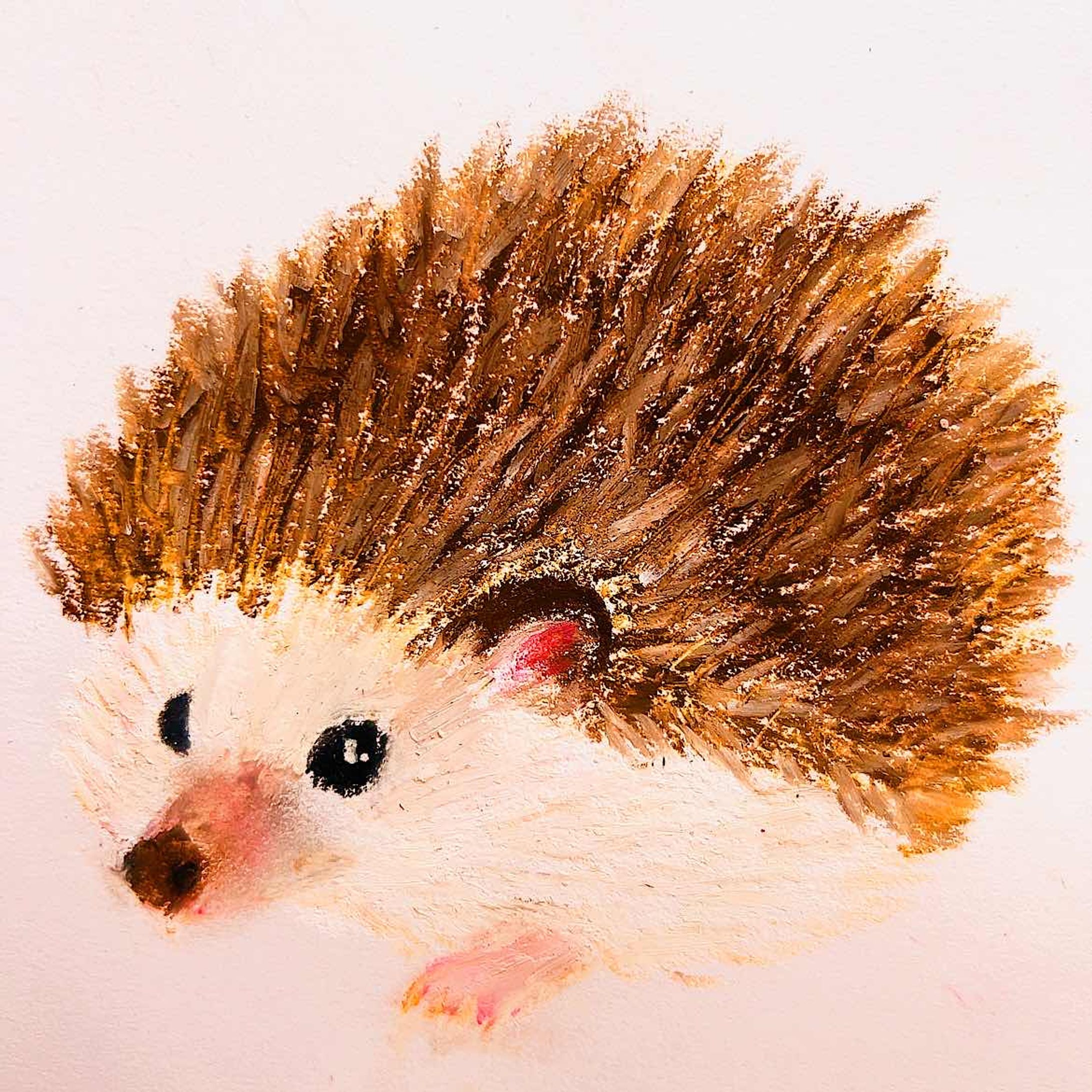 クレパスハリネズミ-1