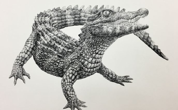 イラストレーター、版画