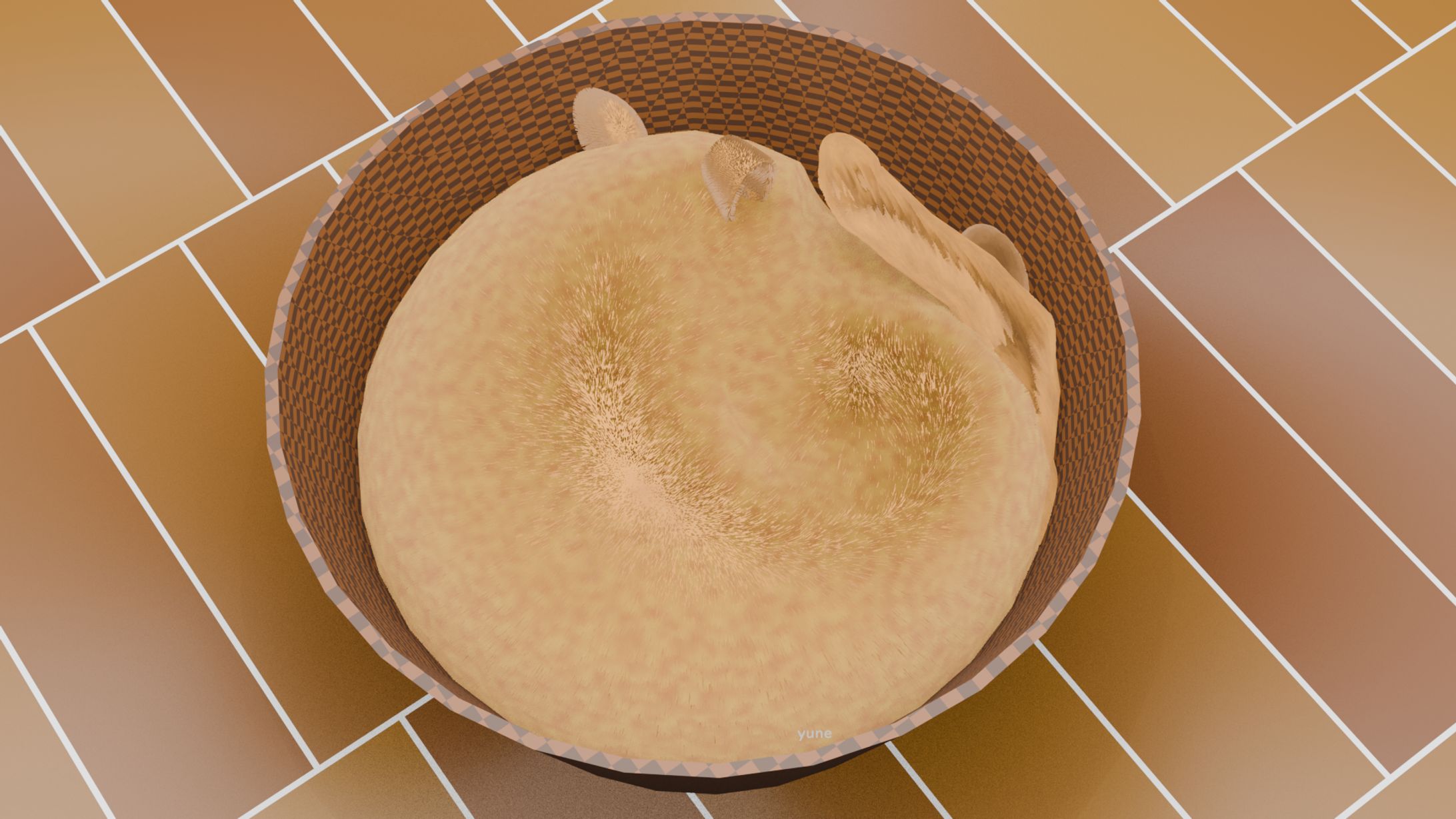 the day of cat 2/22-1