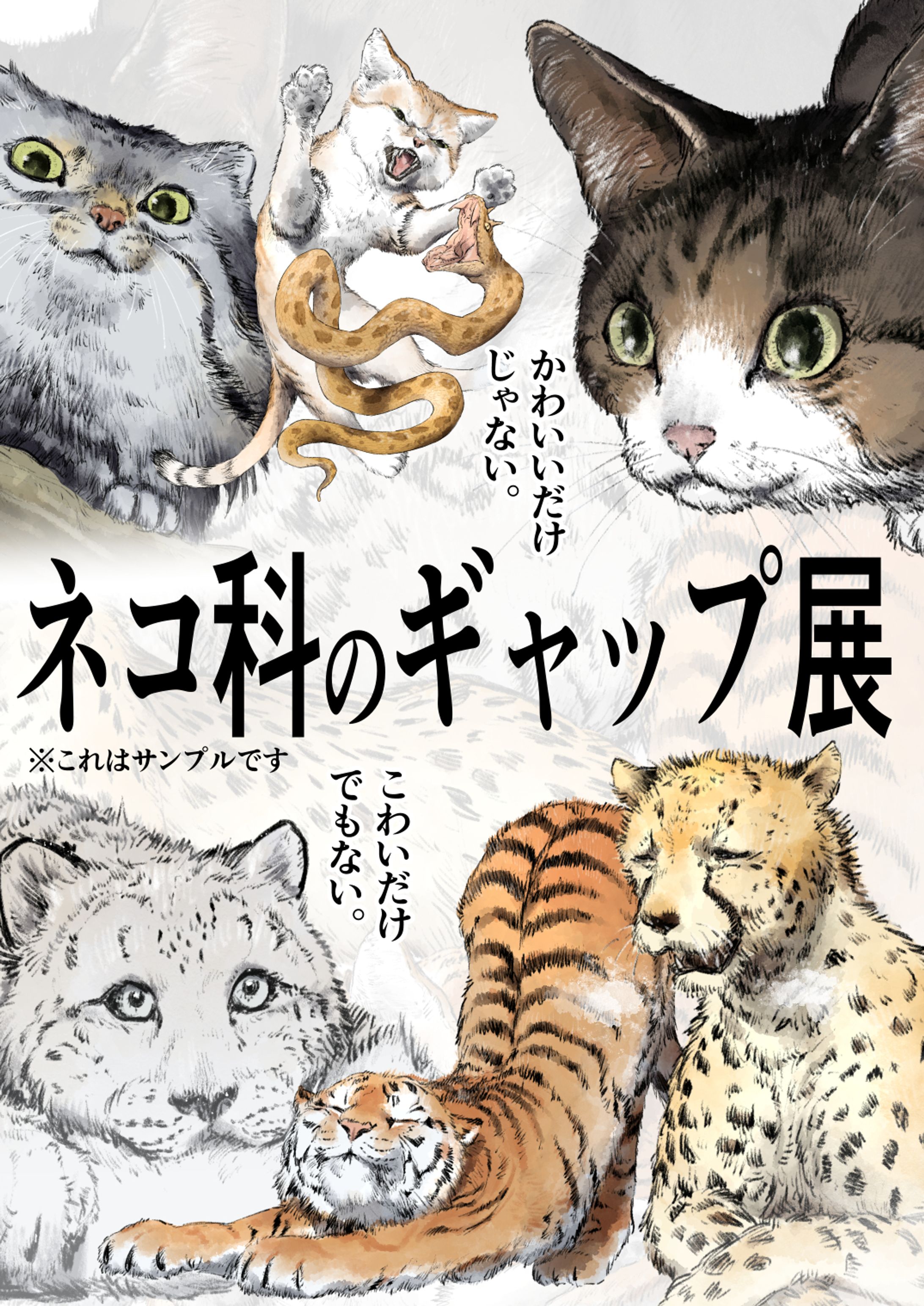 【サンプル】ネコ科のギャップ展【メインビジュアル】-1