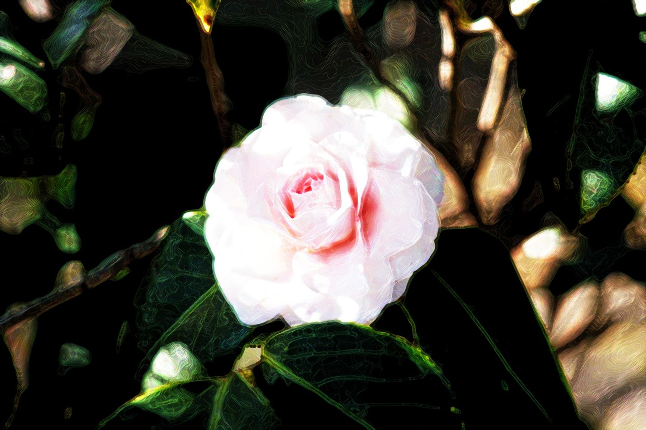椿　アヴェマリア
Camellia Ave maria
This is an edited work using Photoshop.

#写真を撮るのが好きな人と繋がりたい
#写真
#静岡
#静岡県
#アート作品
#digitalart
#アートギャラリー
#artista
#artlovers
#artoftheday
#arte
#artworks
#美術部
#アート
#artgallery
#artistsoninstagram
#artwork
#art-1