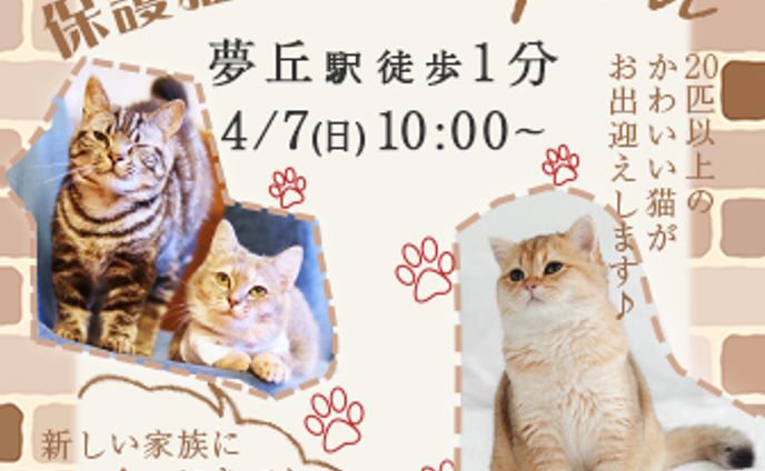 保護猫カフェ　バナー