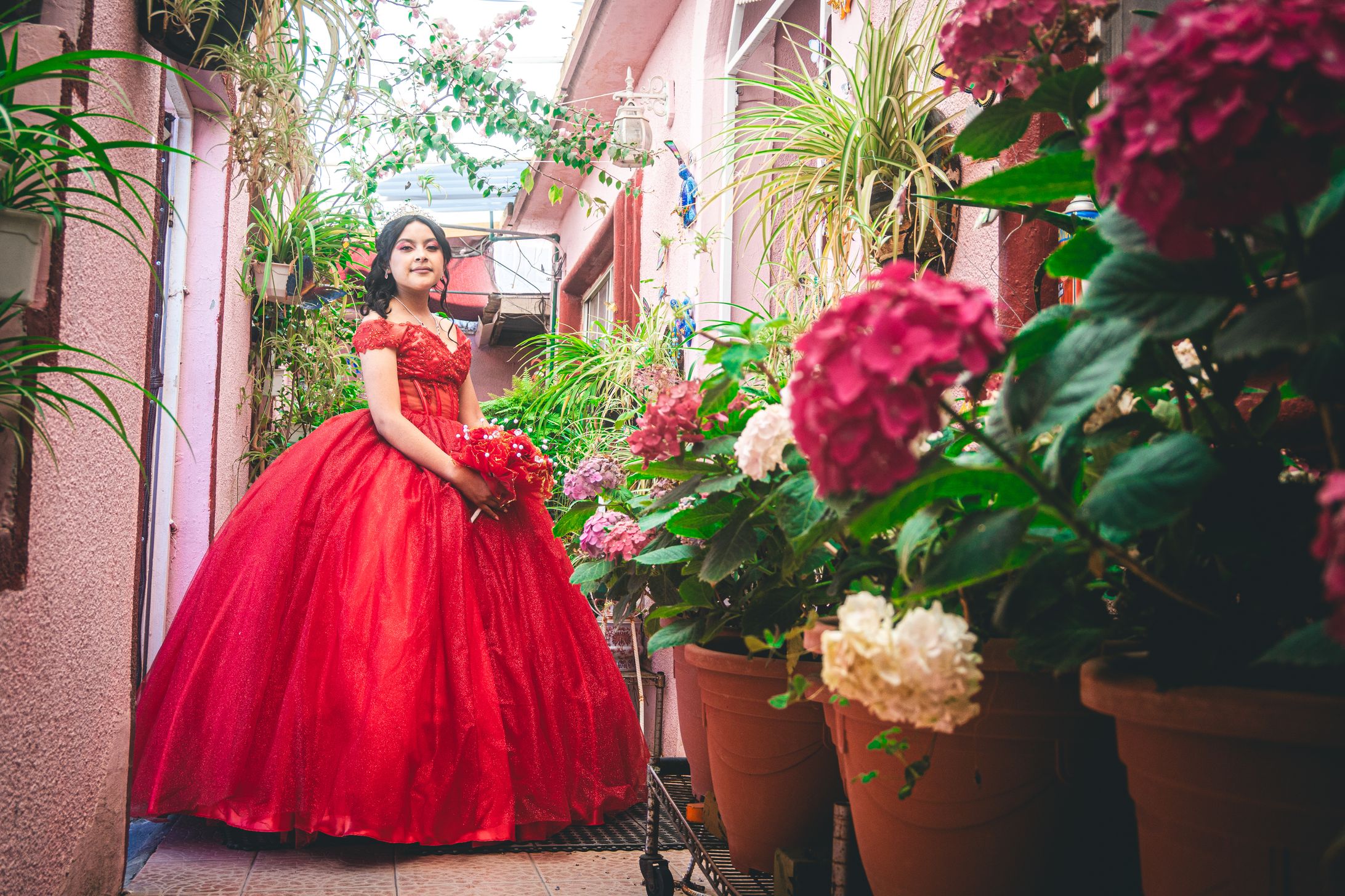 Xv años - María Guadalupe --1