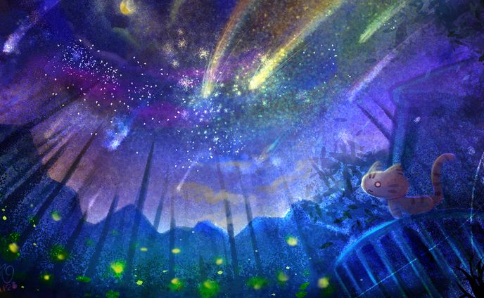 夏の夜空ft.括弧いいネコ