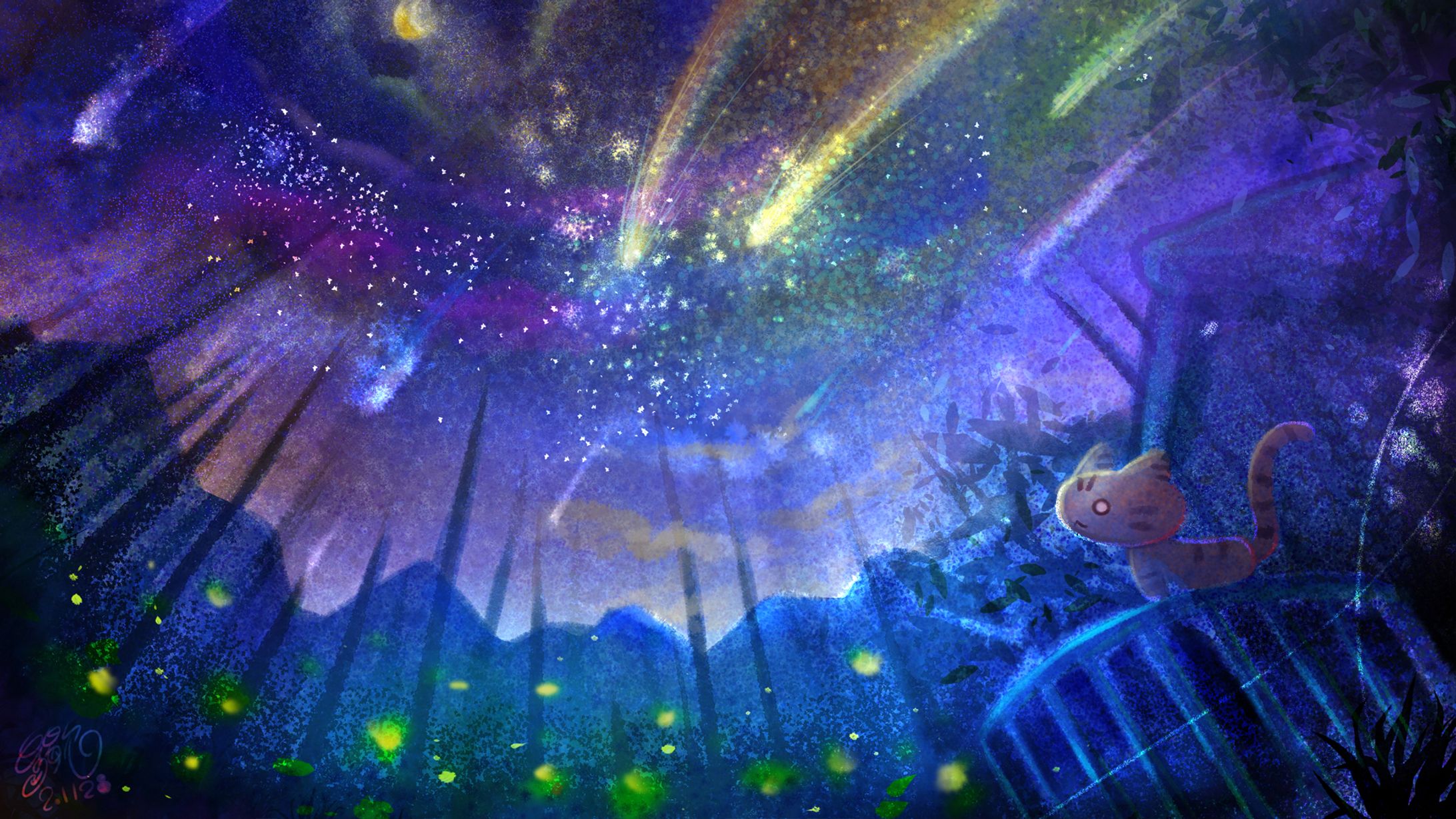 夏の夜空ft.括弧いいネコ-1