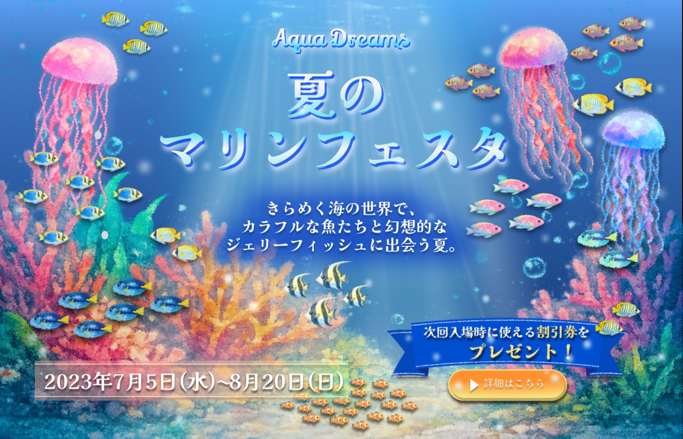 夏のマリンフェスタ｜イベント告知バナー-1