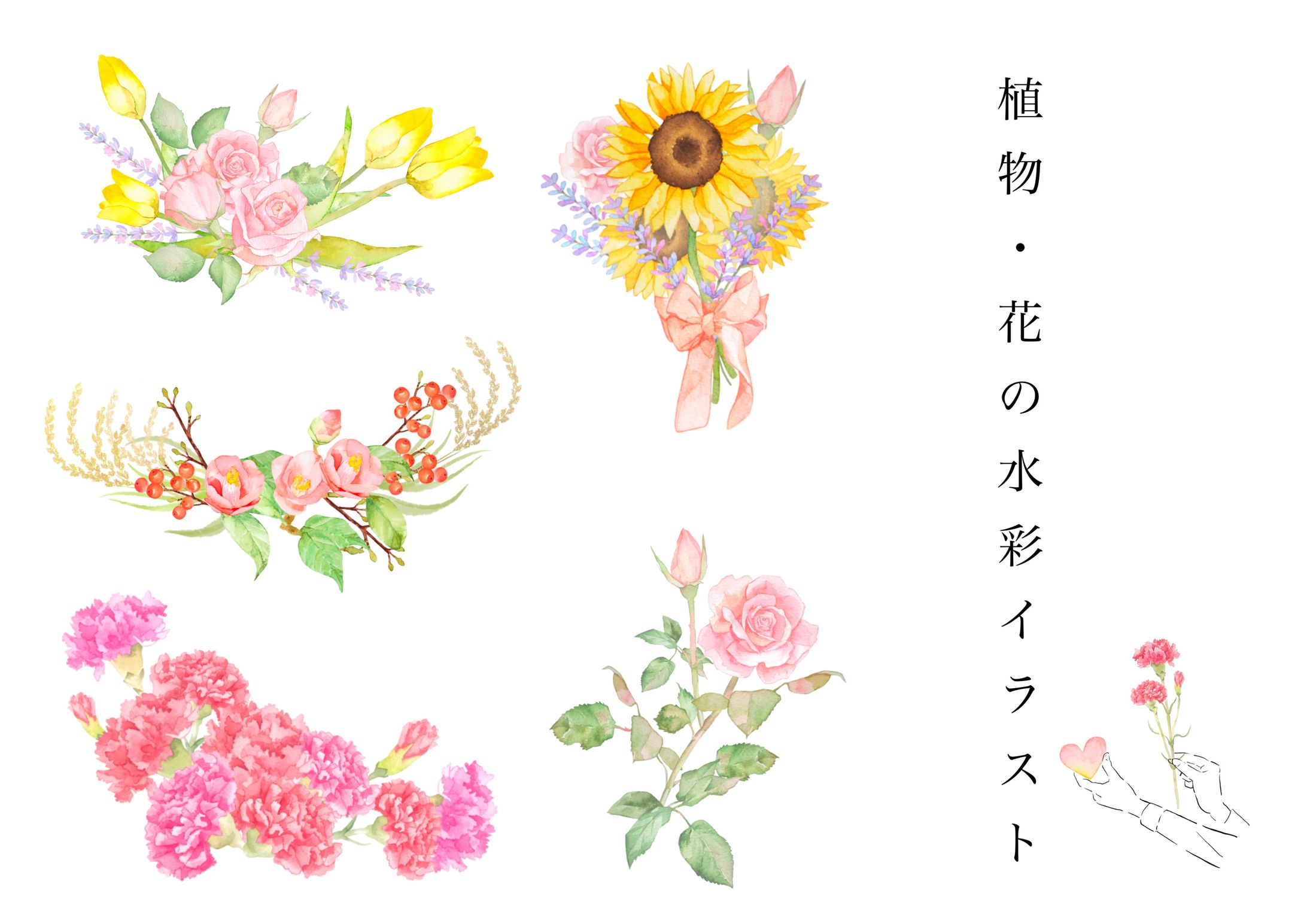 植物・花の水彩イラスト-1