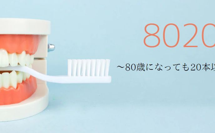 歯科ヘッダー～健康な歯を保とう～