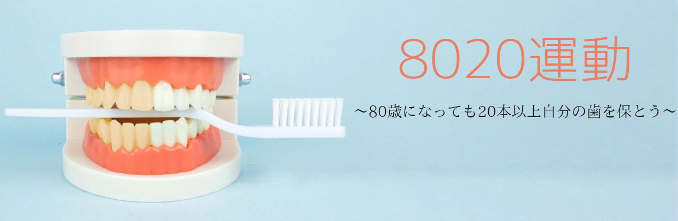 歯科ヘッダー～健康な歯を保とう～-1