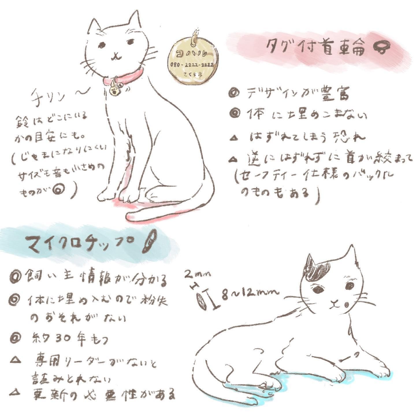 猫 首輪 オファー イラスト