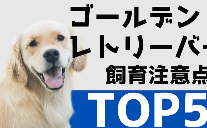 【サムネイルサンプル】ペット系