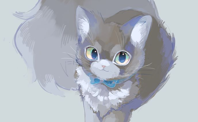 🐈