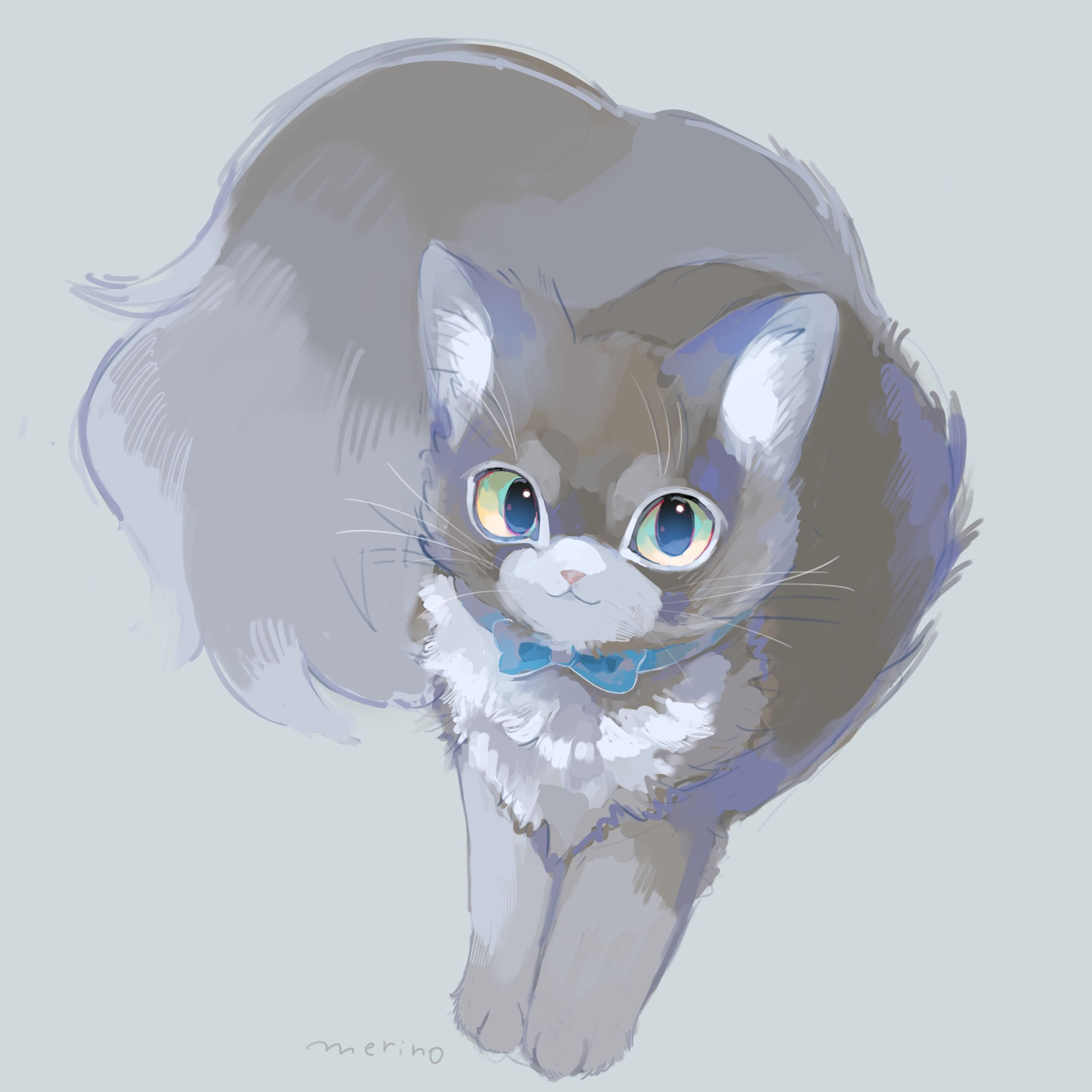 🐈-1