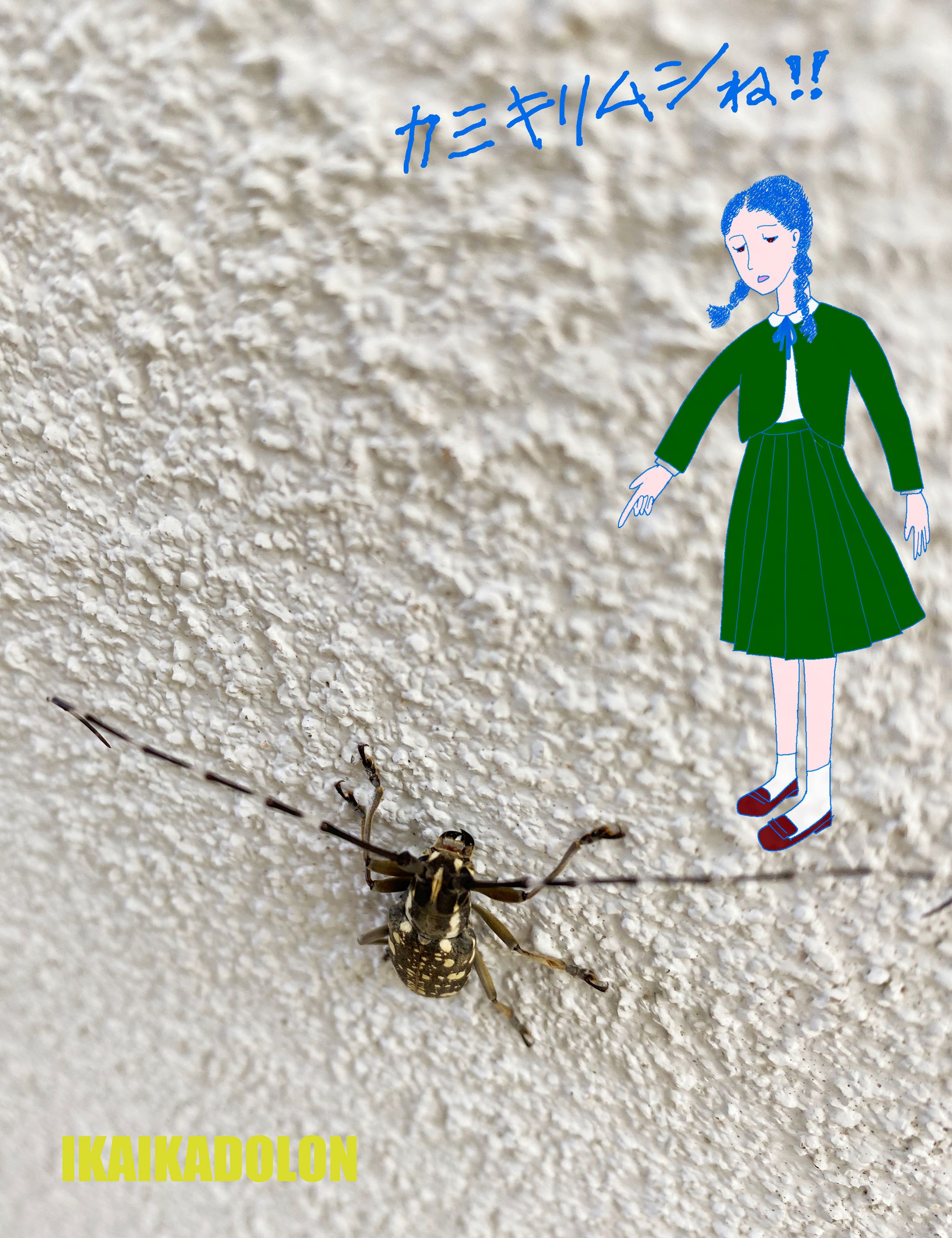 紙を切るのかカミキリムシ-1