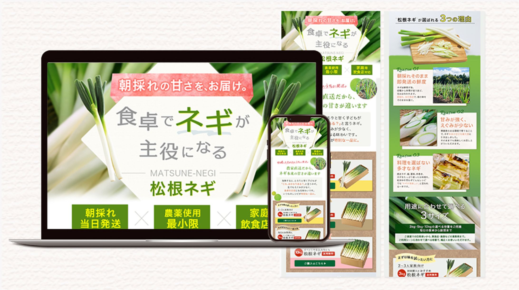 【LP】長ネギ販売｜農家｜家庭・飲食店向け-1