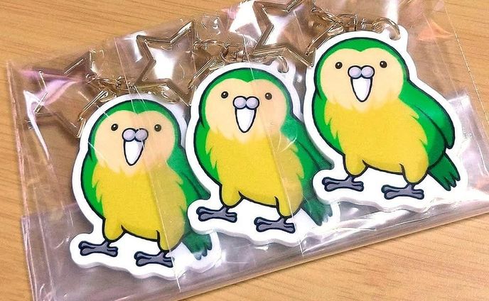 野鳥撮影が趣味の旦那氏のリクエスト
ニュージーランドにしか住んでないカカポっていう飛べないオウムのキーホルダー！
カカポが可愛すぎるから描いてと言われて別に鳥は興味ないけど調べたら確かにずんぐりむっくりキョトン顔でかわいいw
でも絶滅寸前のかわいそうな子(´･ω･)

#イラスト #illustration #絵 #お絵描き #picture #デザイン #design #アート #art #グッズ #goods #キーホルダー #アクリルキーホルダー #アクキー #keyring #keychain #カカポ #フクロウオウム #kakapo #ニュージーランド #newzealand