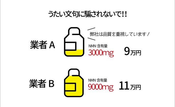 記事内画像