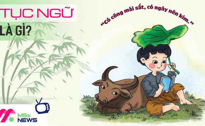 cho thuê bàn ghế、biツール