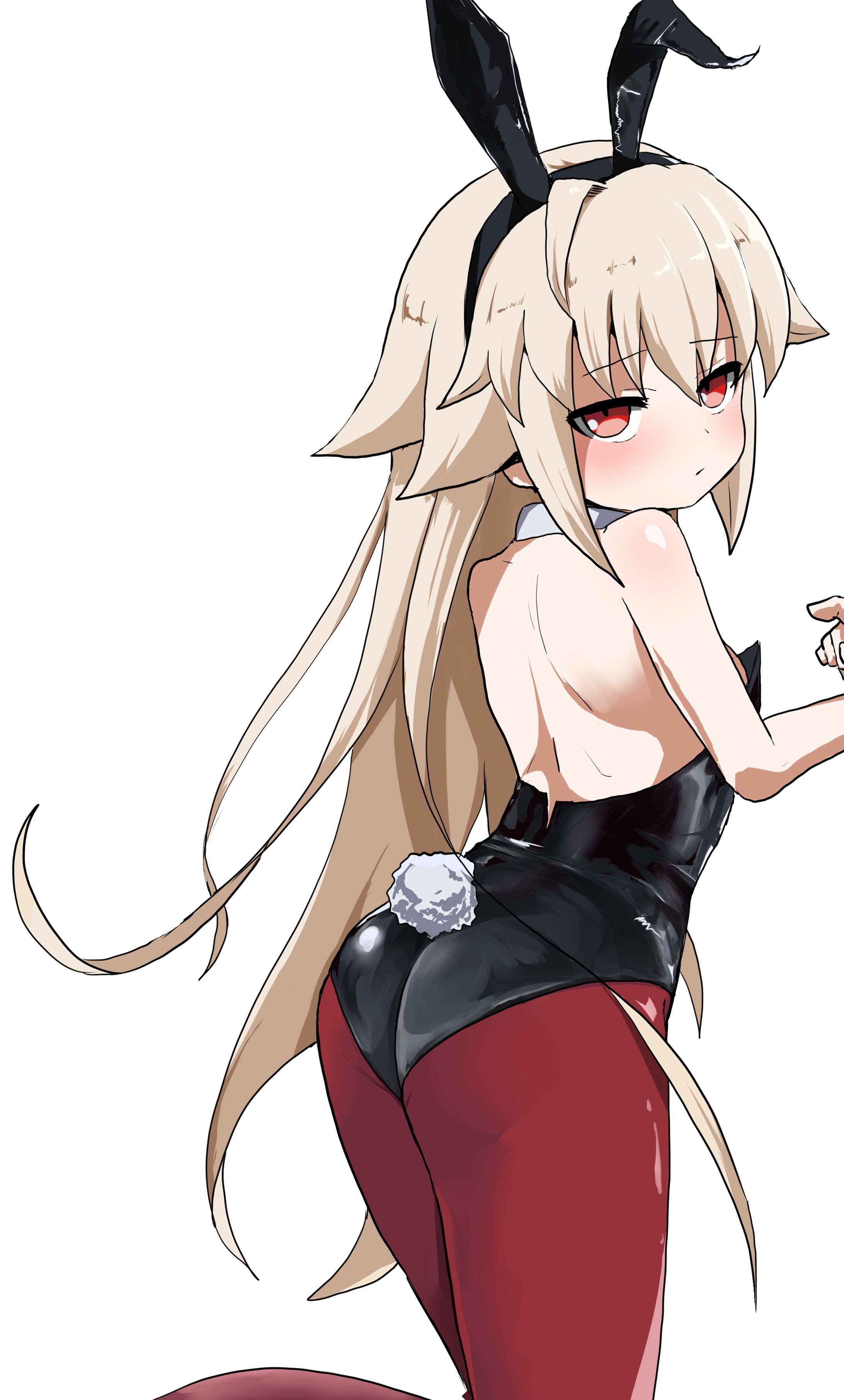エコアルク　バニー-1