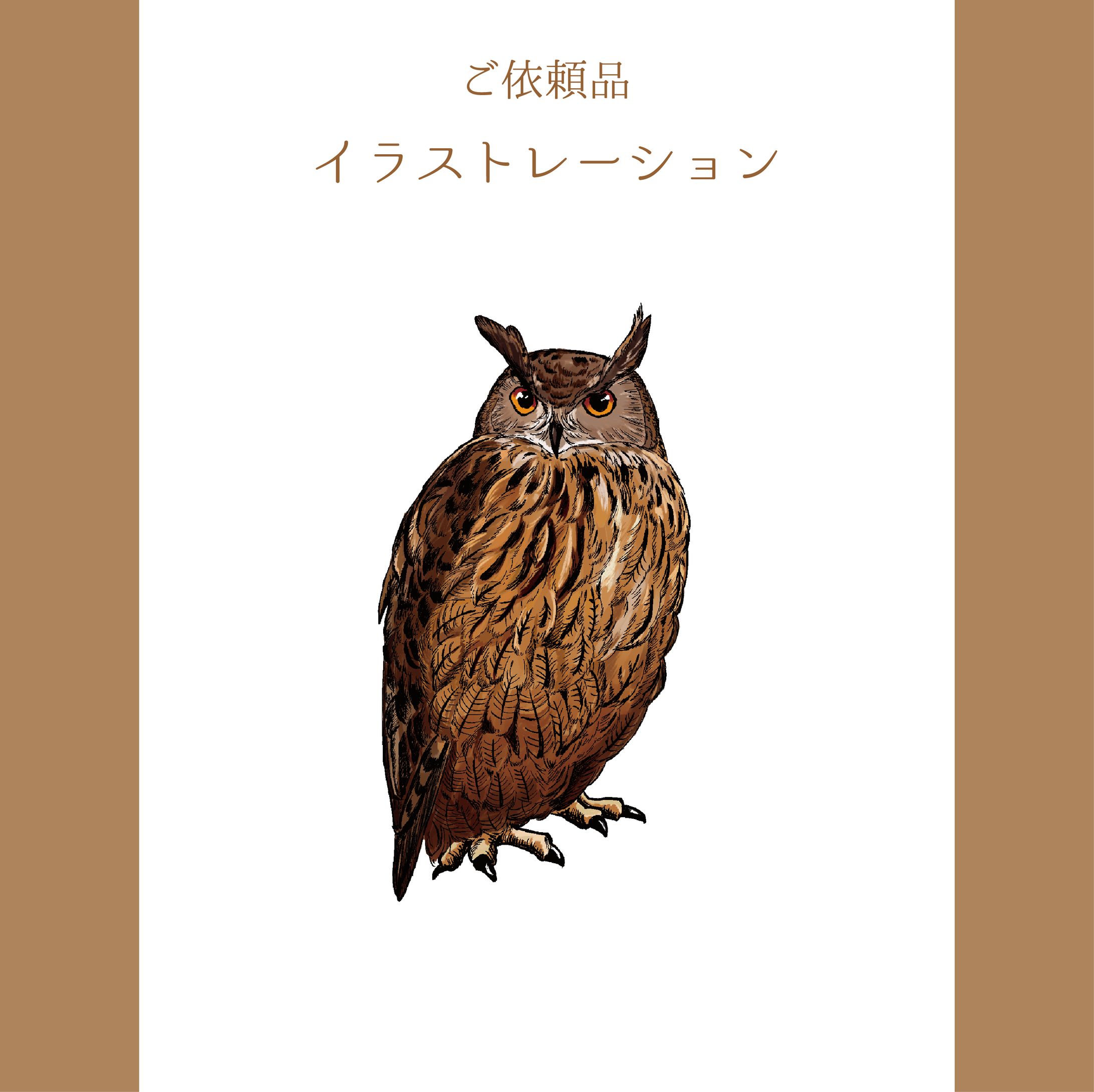 イラストレーション-1