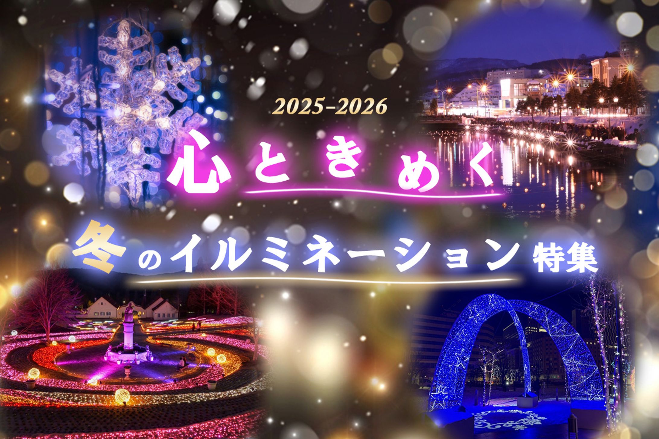 冬のナバー（イルミネーション）-1