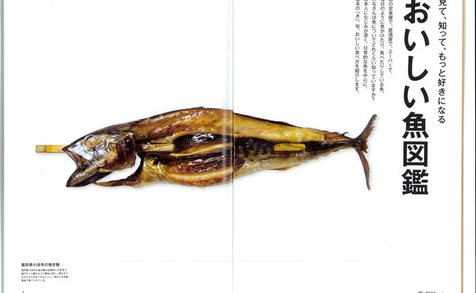 雑誌広告、取材記事