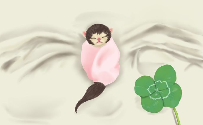 写真、主線なし