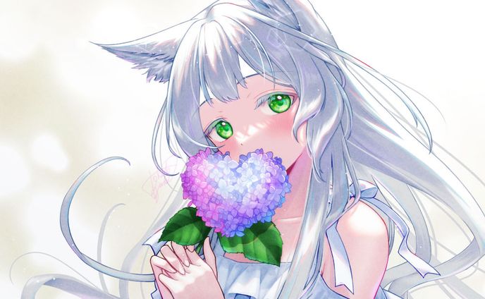 ✦ ファンアート、オフィス・働き方
