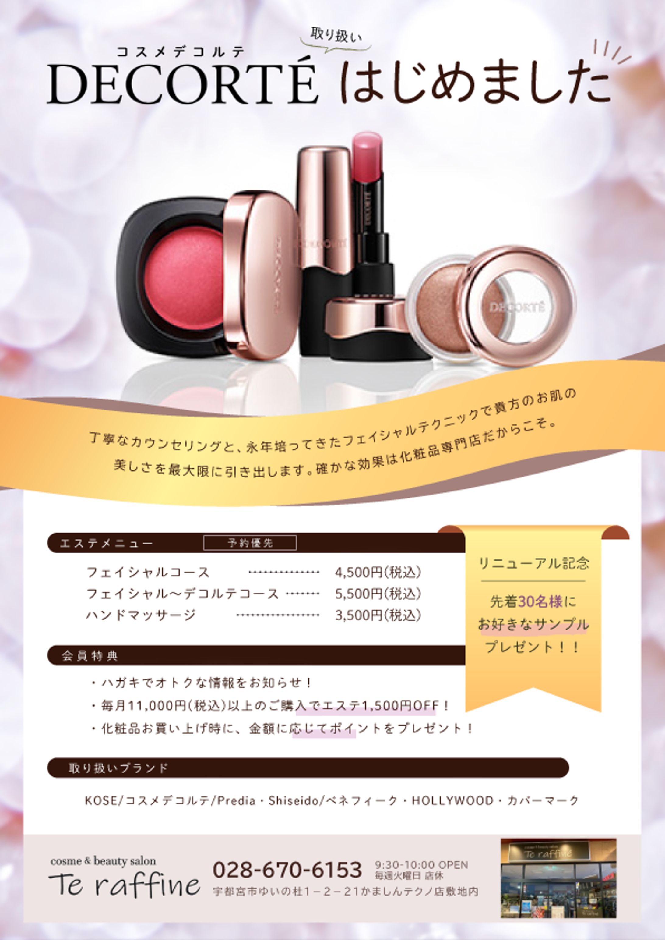 新聞折込みチラシ -1